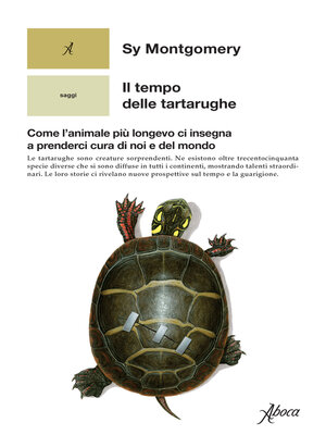 cover image of Il tempo delle tartarughe